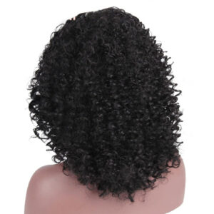Short Hair Wig